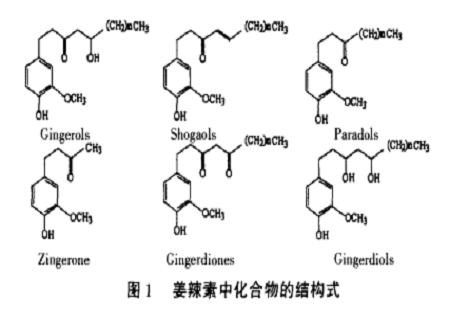 姜辣素