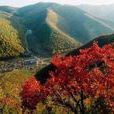 大寧翠雲山