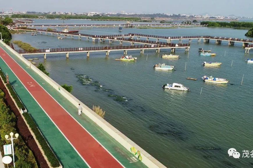 水東灣紅樹林棧道