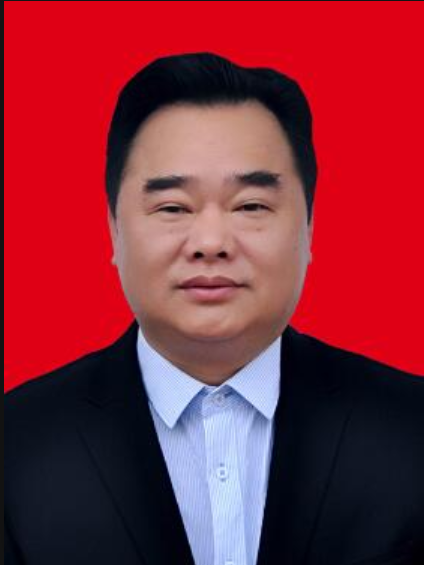 丁翔(湖南省長沙市望城區民政局局長)