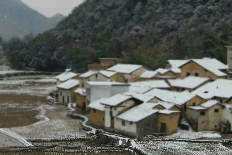 茶子山背村