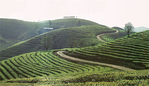 法城自然生態風景區