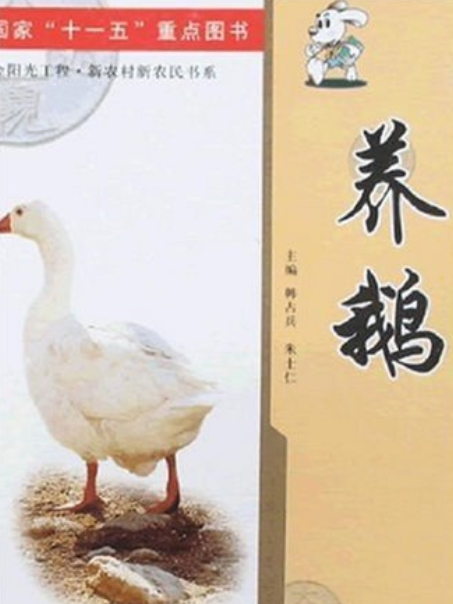 養鵝(2007年中原農民出版社出版的圖書)