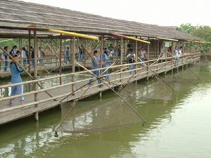 萬頃沙原野莊園