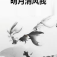 明月清風我(寄餘生所著小說)