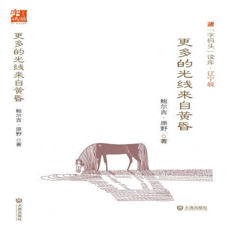 更多的光線來自黃昏(2015年大連出版社出版的圖書)