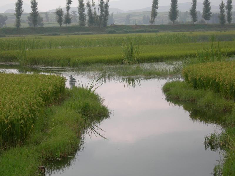 茨院村