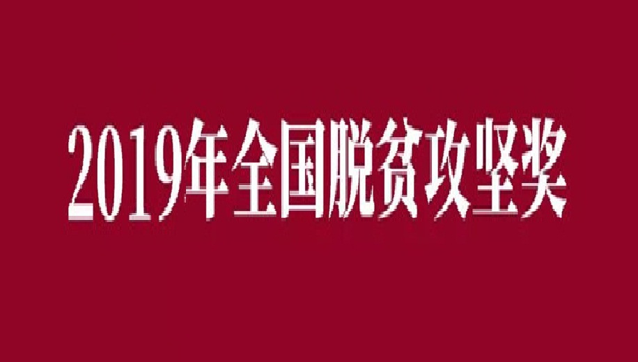 2019年全國脫貧攻堅獎