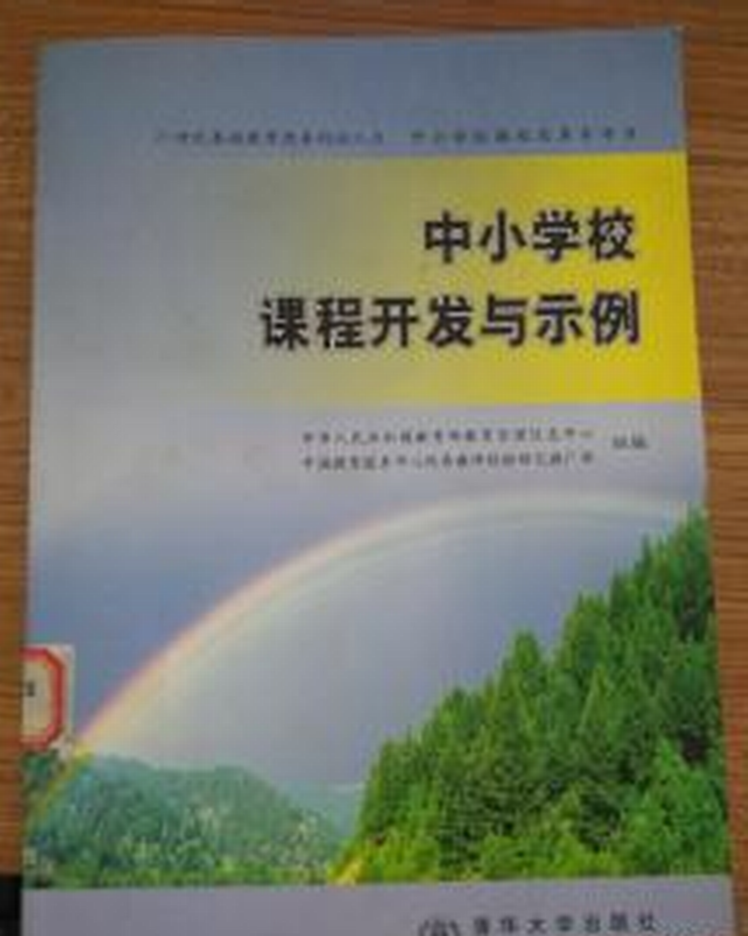 中國小校課程開發與示例