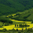 走過四季阿爾山