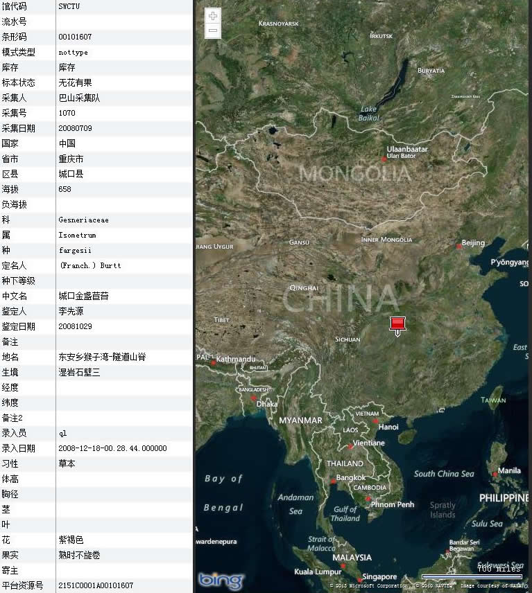 城口金盞苣苔 標本採集點