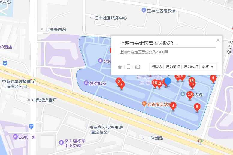 曹安公路2300弄249號