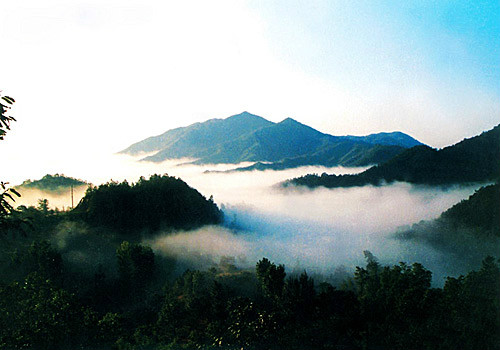 伏牛山國家級自然保護區