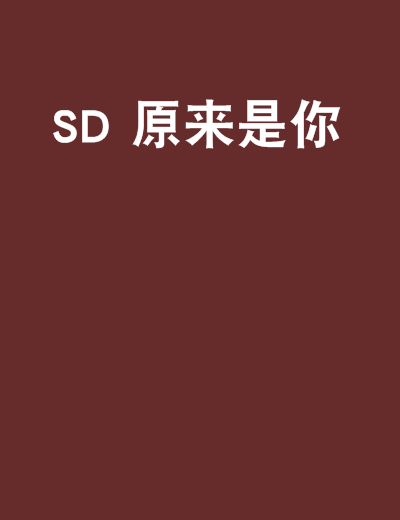 SD 原來是你