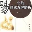 名家名碑書法解析叢書：北魏張猛龍碑解析