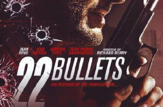 22 Bullets