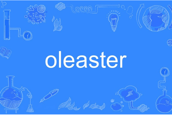 oleaster