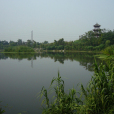 成都清水河公園(清水河公園)