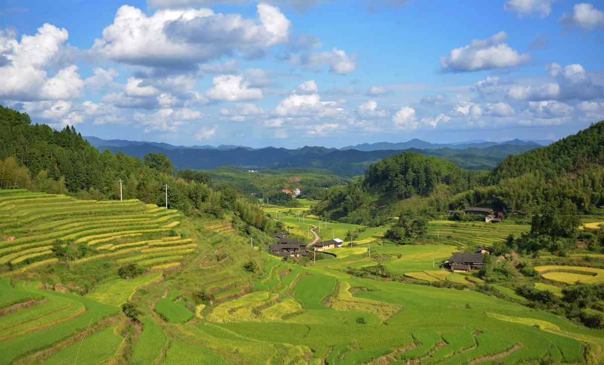 蕉坑梯田