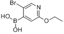 5-溴-2-乙氧基砒啶-4-硼酸