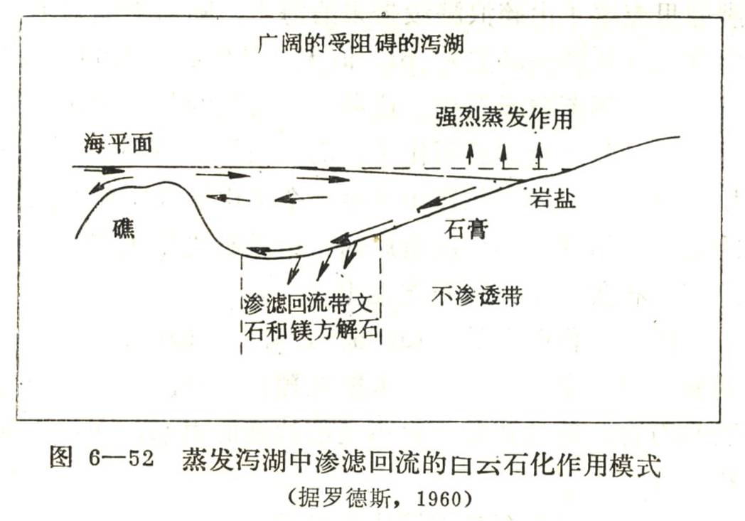 回流滲透白雲石化