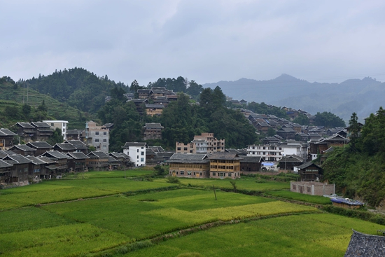 本里村(貴州省黔東南州榕江縣樂里鎮本里村)