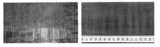 圖2 “指甲狀”壓痕