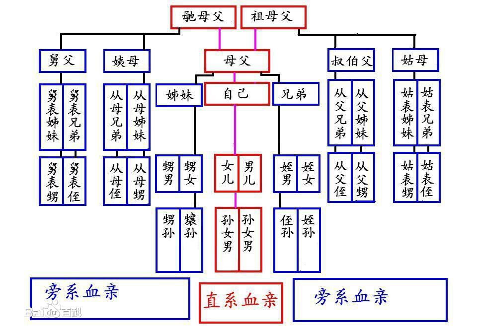 從父姑母