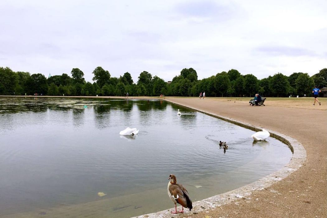 肯普頓公園