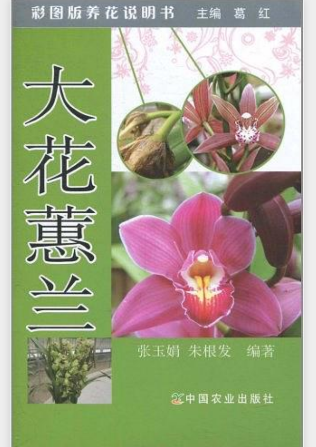 大花蕙蘭（彩圖版養花說明書）