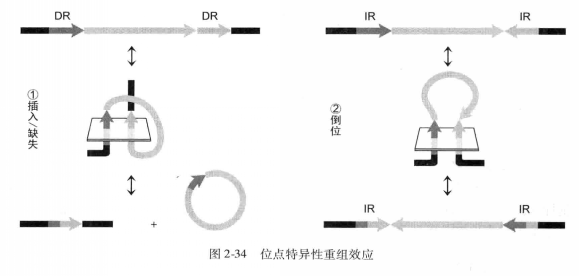 圖2-34