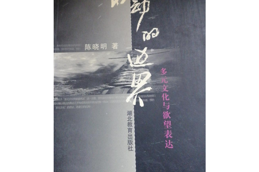 移動的邊界(2000年陳曉明編著的圖書)