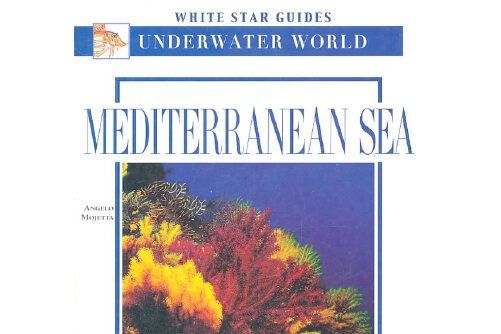 MEDITERRANEAN SEA(2011年Penguin出版的圖書)