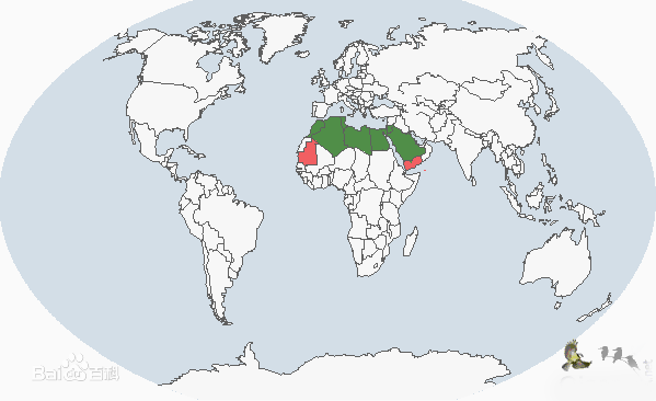 厚嘴百靈分布圖