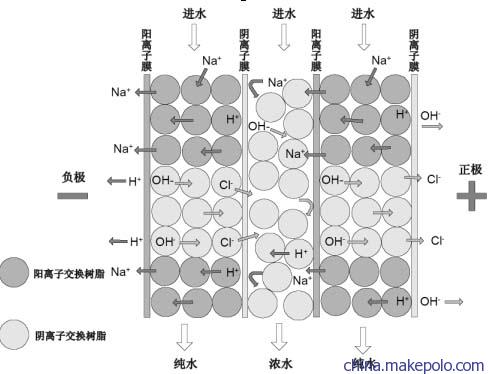 陰離子交換