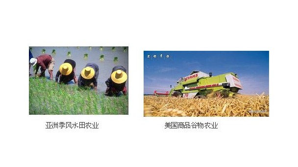 水田農業和商品穀物農業