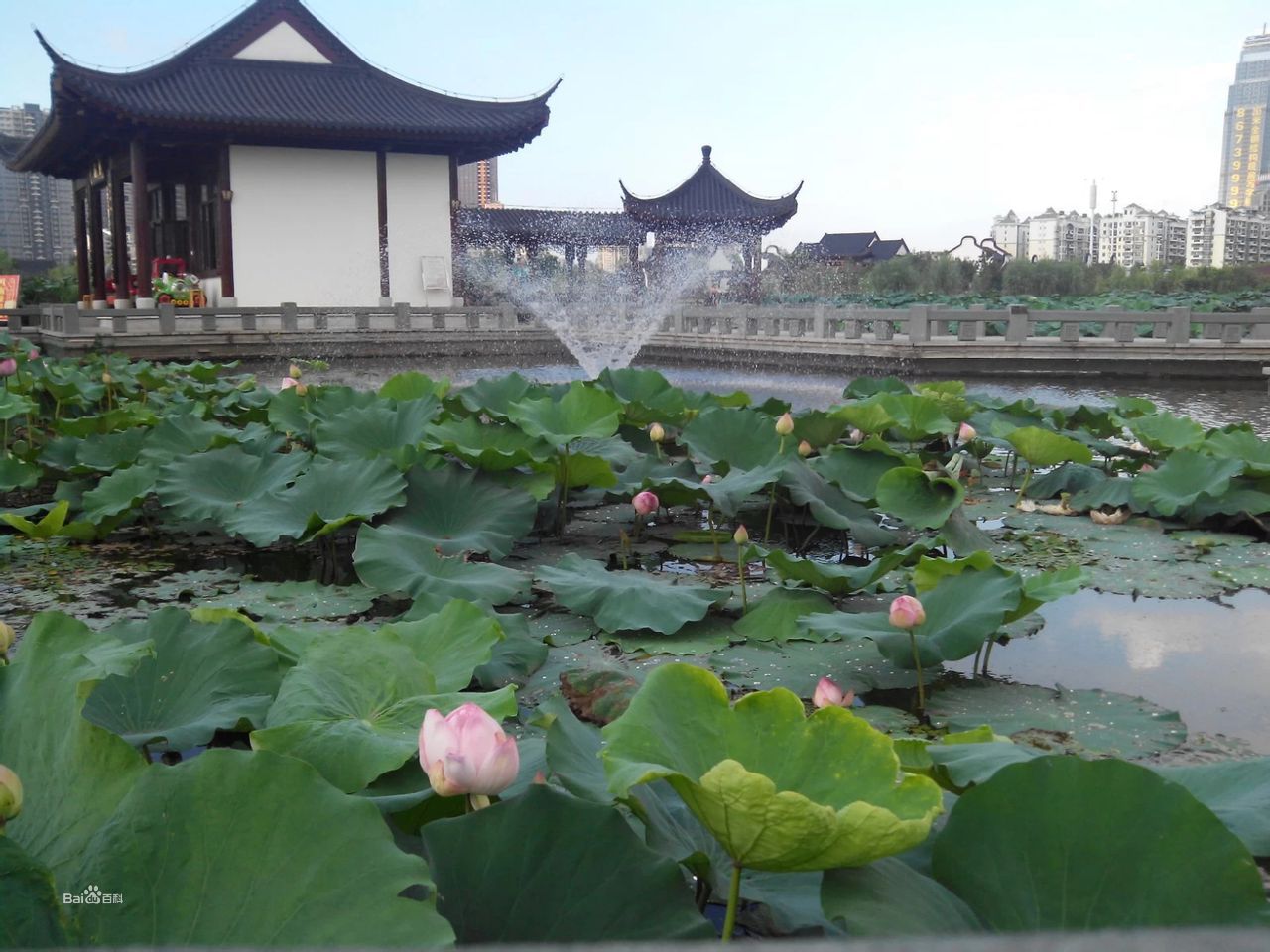 沙湖公園