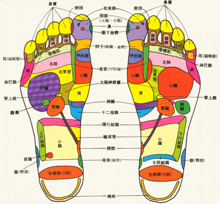 足部反射區