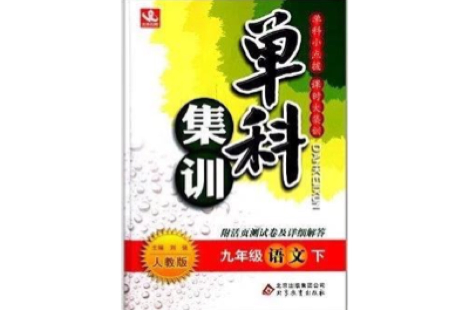 北教控股·單科集訓：九年級語文