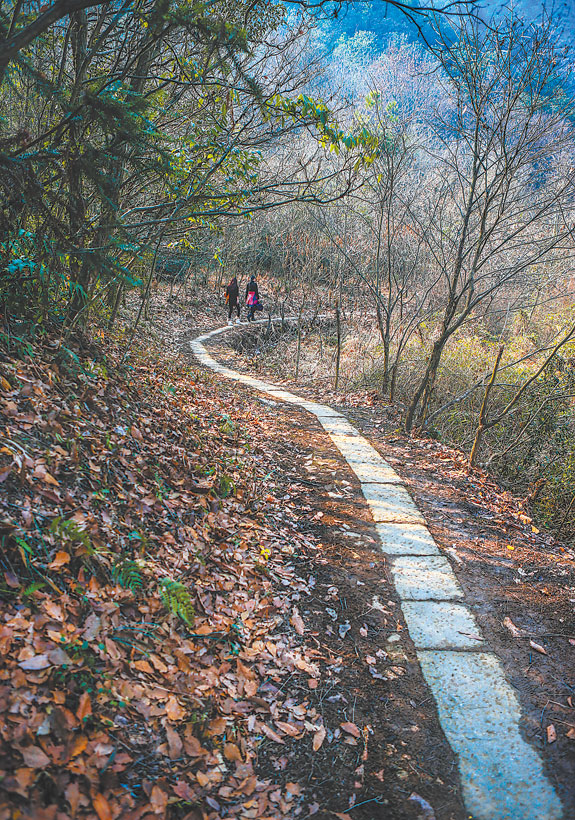 桃嶺古道