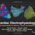 Cardiac Electrophysiology