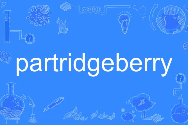 partridgeberry