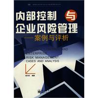 內部控制與企業風險管理