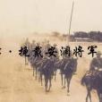 五律·挽戴安瀾將軍(五律·海鷗將軍千古)