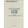 四川省涼山彝族社會調查資料選輯