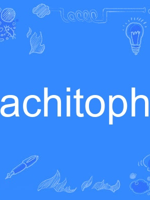 achitophel