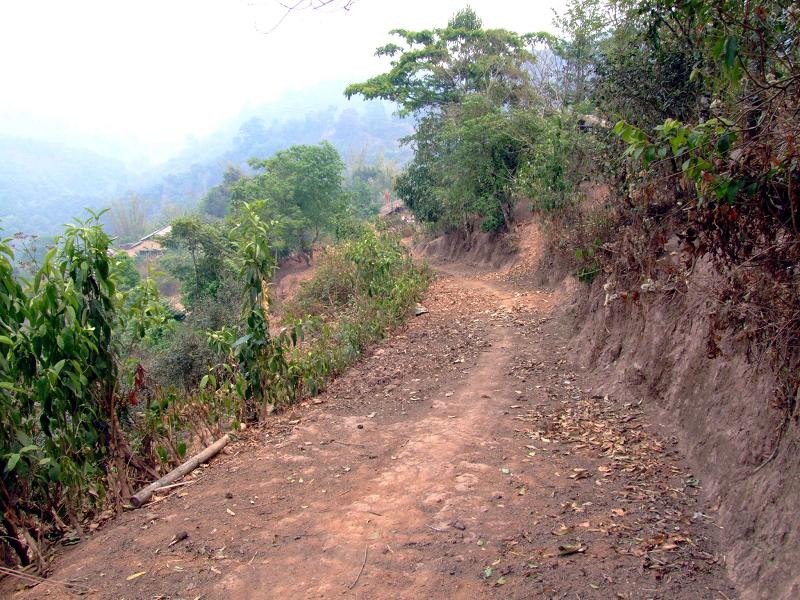 進村道路