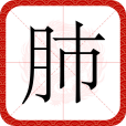 肺(漢語文字)