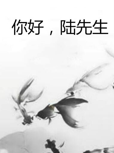 你好，陸先生(芽衣創作的網路小說)