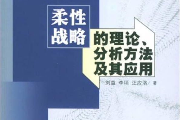 柔性戰略的理論、分析方法及其套用